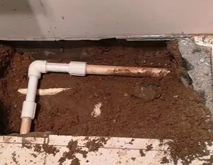 黄平测漏水哪家好