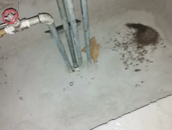 黄平卫生间测漏水价格明细