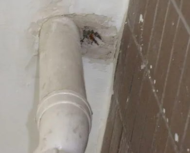 黄平漏水检测哪家好